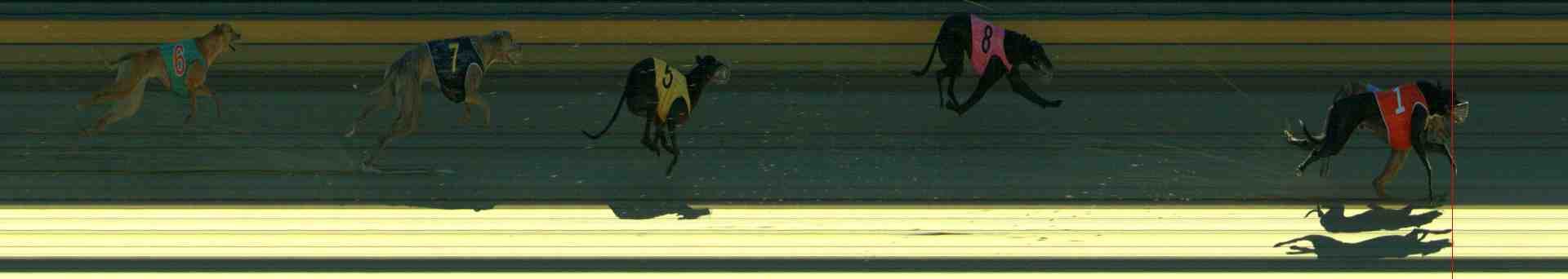 Photo finish for Sale Race 3