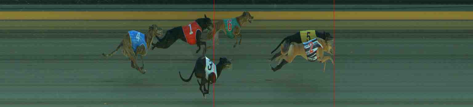 Photo finish for Sale Race 4