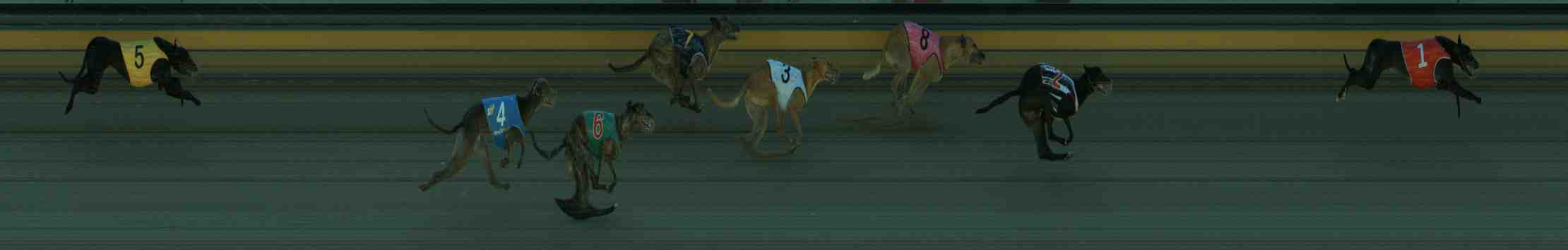 Photo finish for Sale Race 5