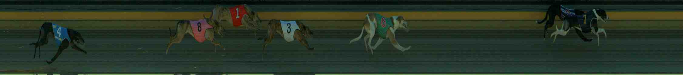 Photo finish for Sale Race 7