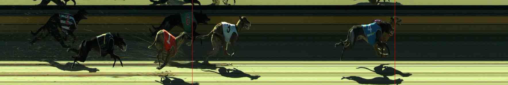 Photo finish for Sale Race 8