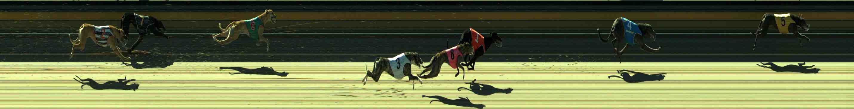 Photo finish for Sale Race 9