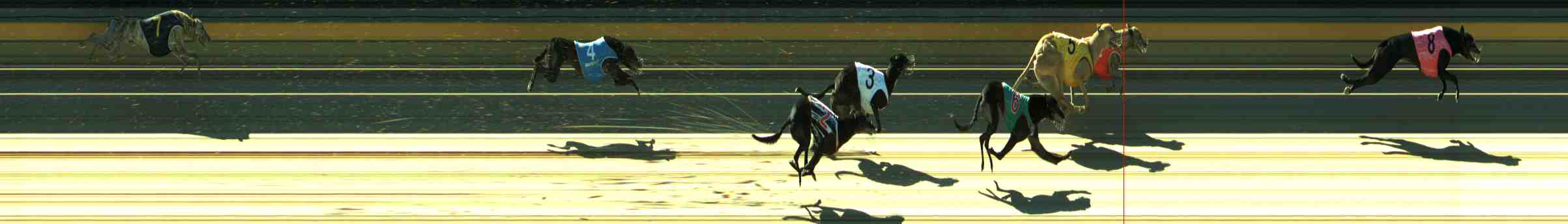 Photo finish for Sale Race 11