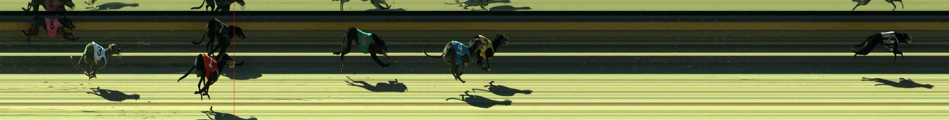 Photo finish for Sale Race 12