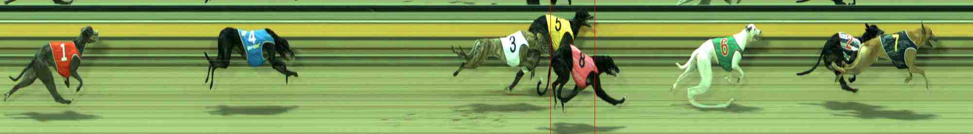 Photo finish for Sale Race 1