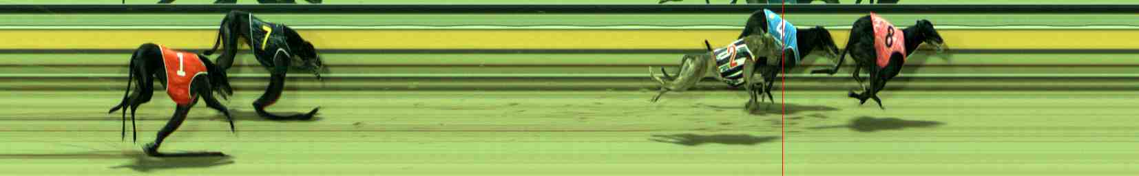 Photo finish for Sale Race 2