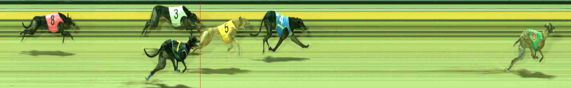 Photo finish for Sale Race 4