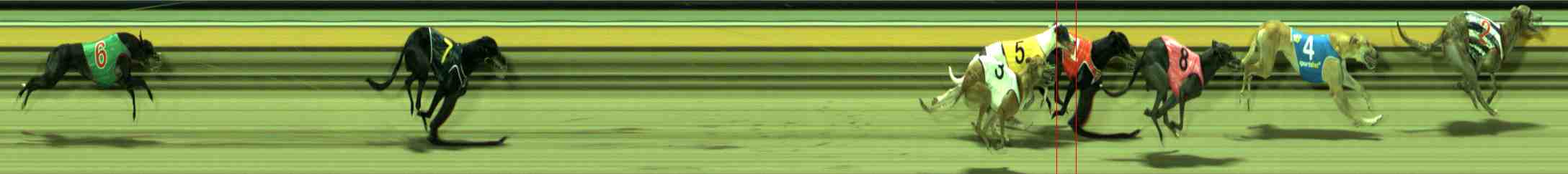 Photo finish for Sale Race 5