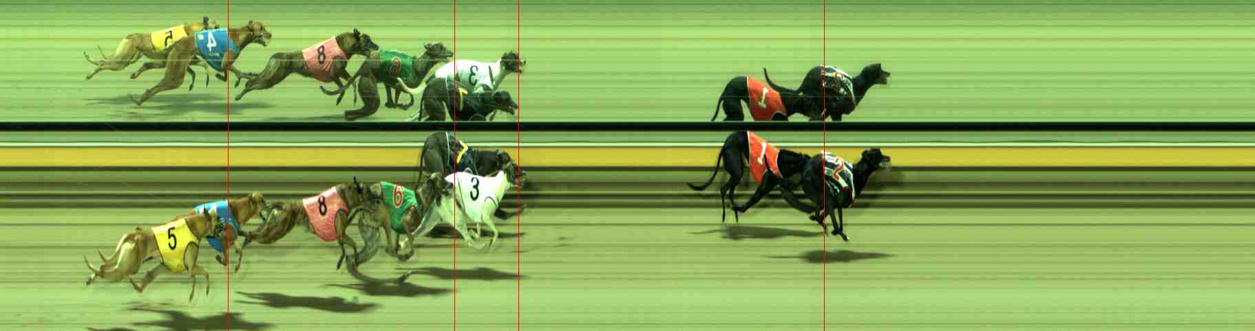 Photo finish for Sale Race 7