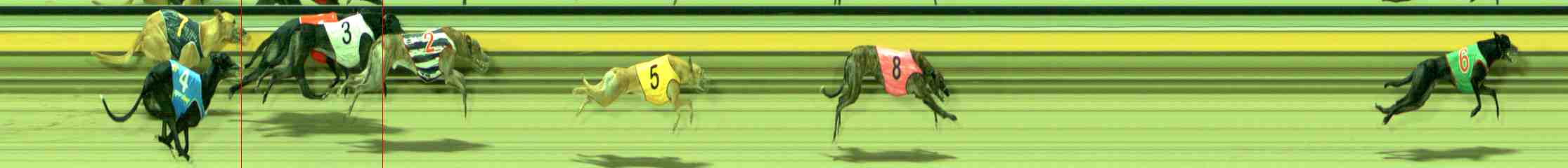 Photo finish for Sale Race 8
