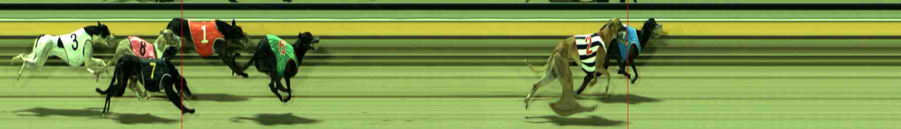 Photo finish for Sale Race 9
