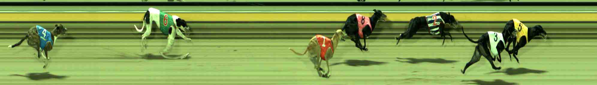 Photo finish for Sale Race 10