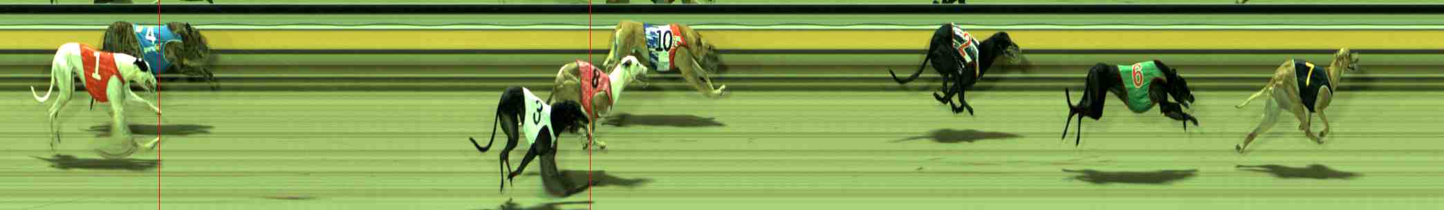 Photo finish for Sale Race 11