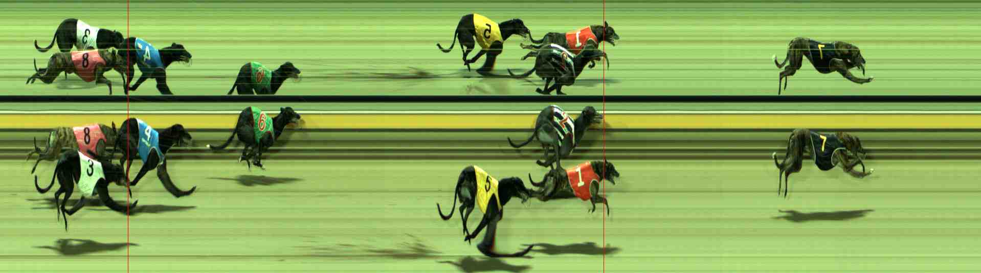 Photo finish for Sale Race 12