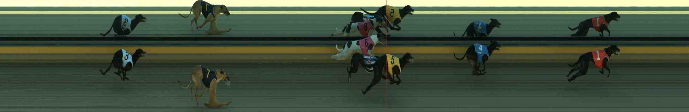 Photo finish for Sale Race 1