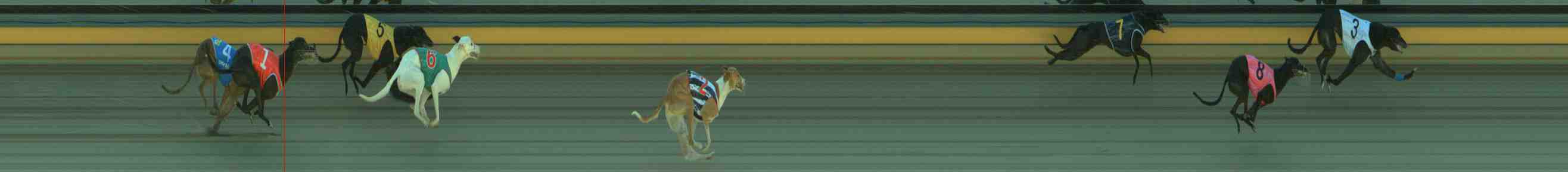 Photo finish for Sale Race 2