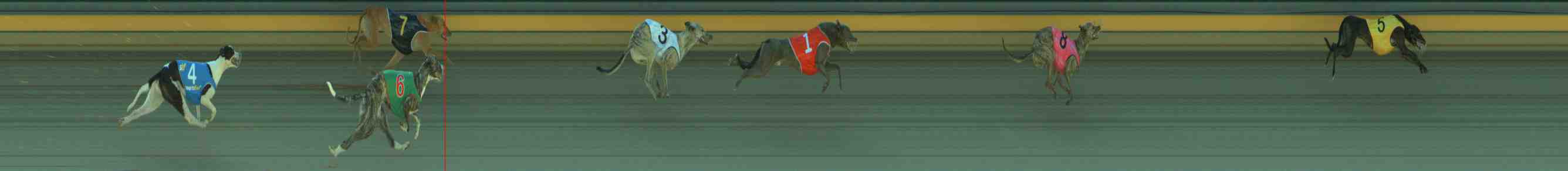 Photo finish for Sale Race 3