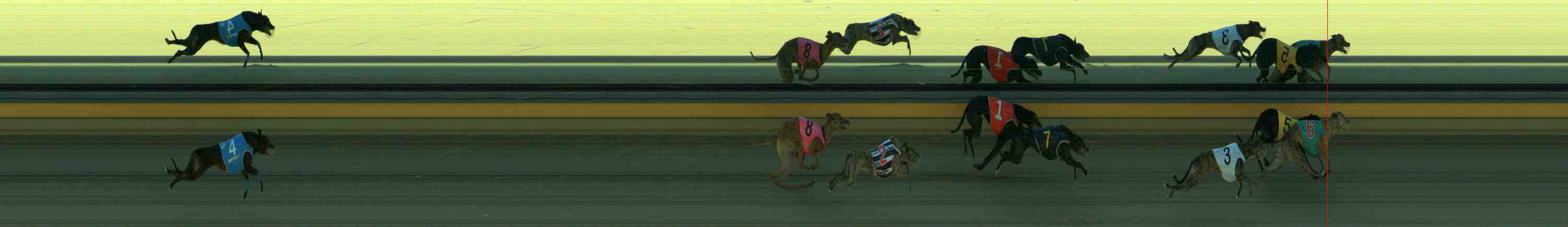 Photo finish for Sale Race 4
