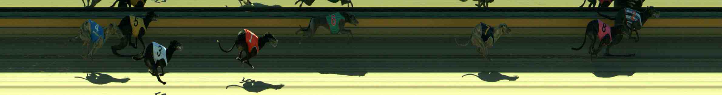 Photo finish for Sale Race 5