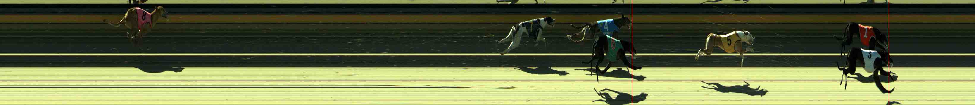 Photo finish for Sale Race 7
