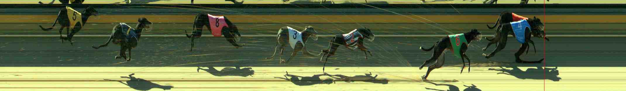 Photo finish for Sale Race 8