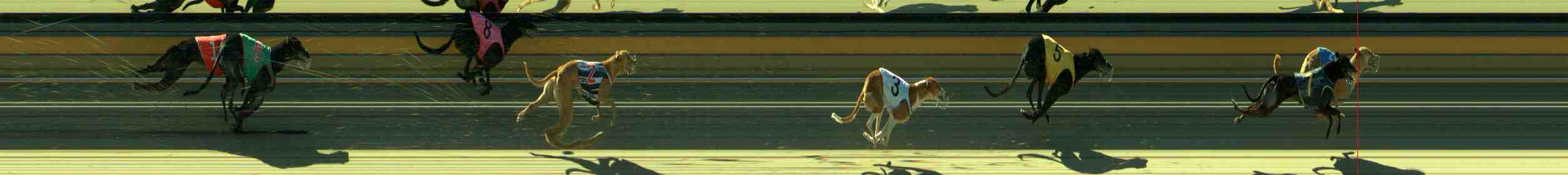 Photo finish for Sale Race 9