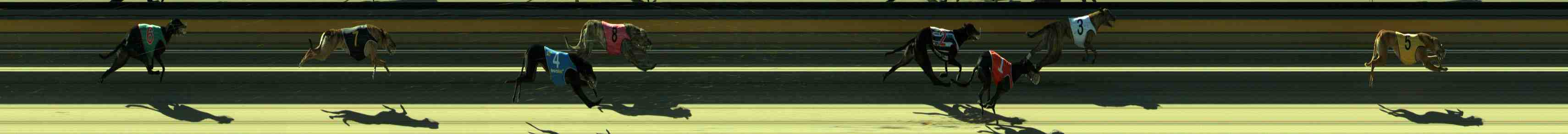 Photo finish for Sale Race 10