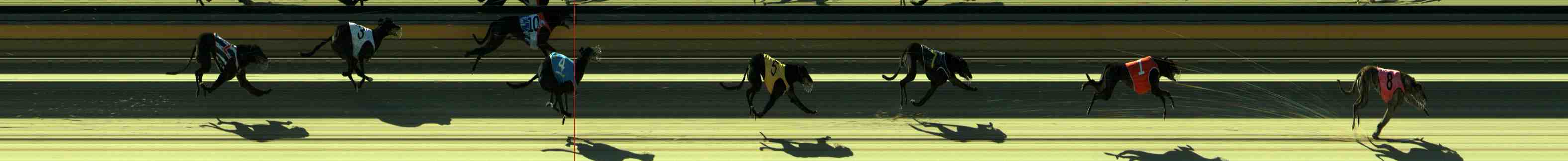 Photo finish for Sale Race 11