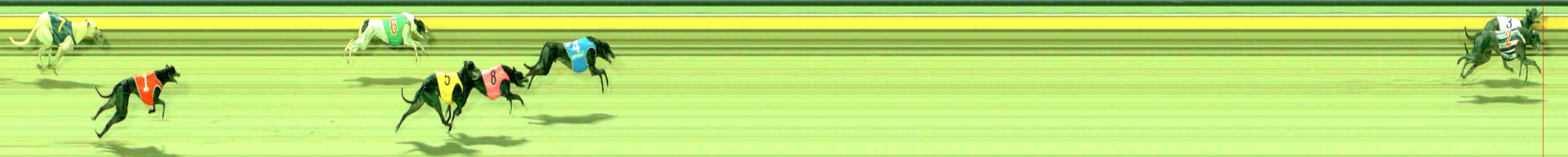 Photo finish for Sale Race 1