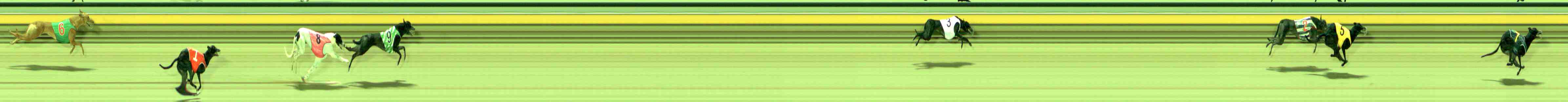 Photo finish for Sale Race 2