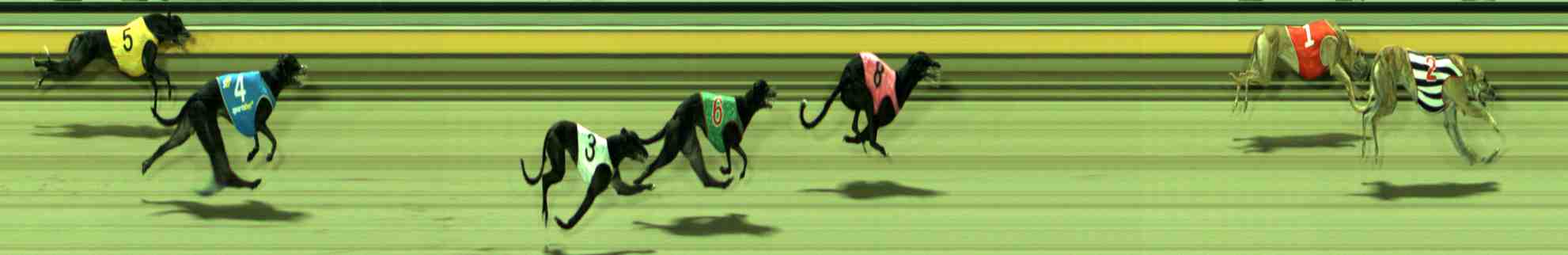 Photo finish for Sale Race 3