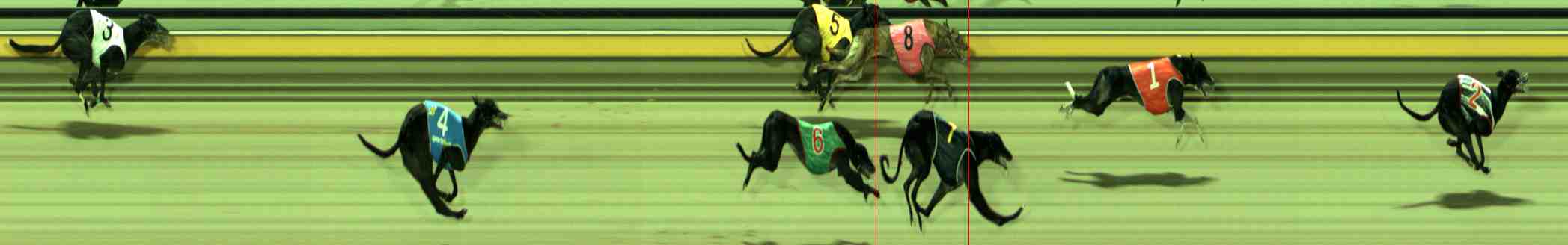 Photo finish for Sale Race 5