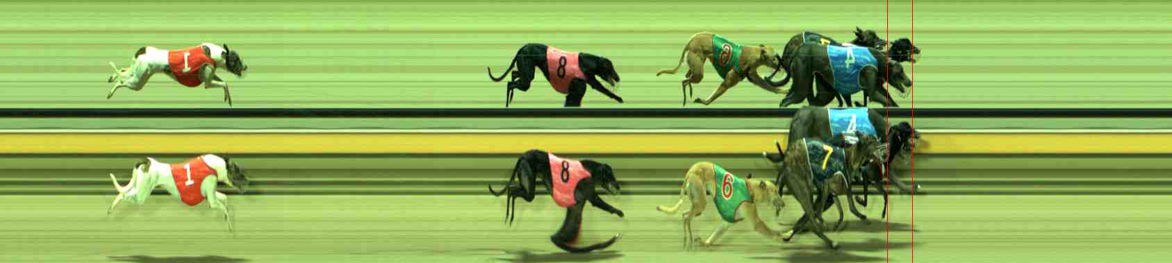 Photo finish for Sale Race 8