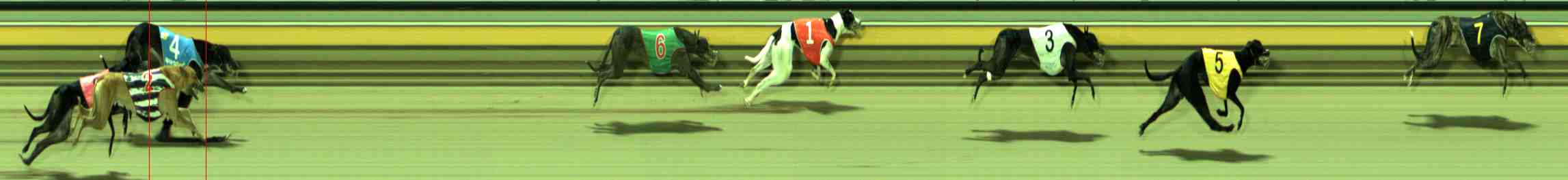 Photo finish for Sale Race 9