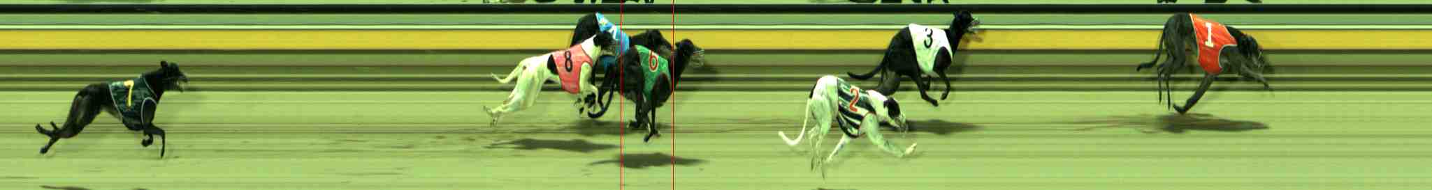 Photo finish for Sale Race 10