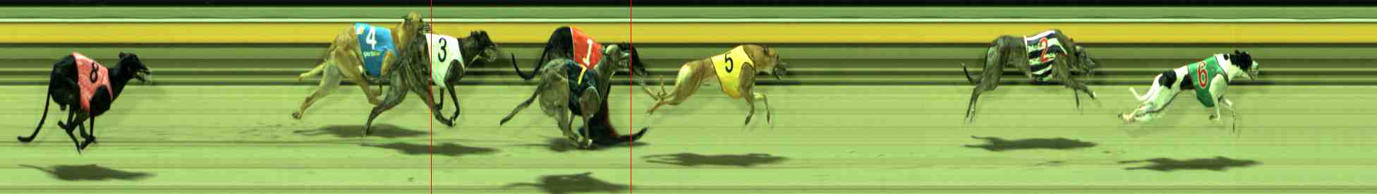 Photo finish for Sale Race 11