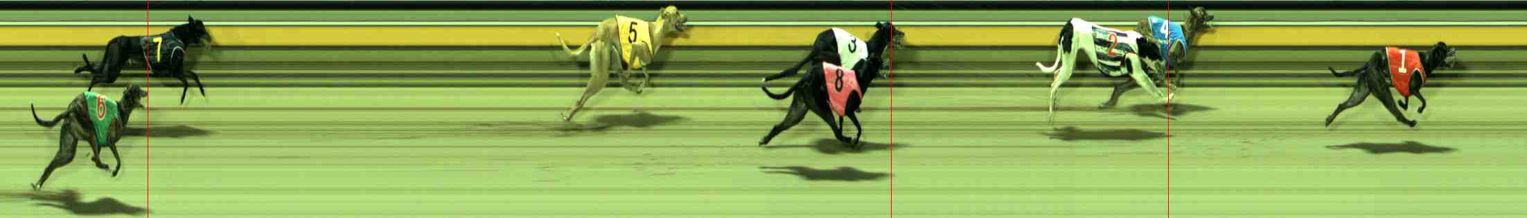 Photo finish for Sale Race 12