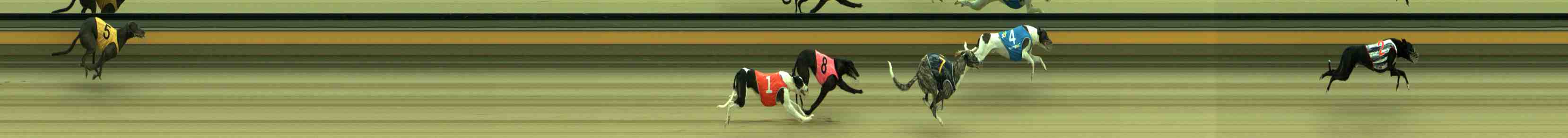 Photo finish for Sale Race 1