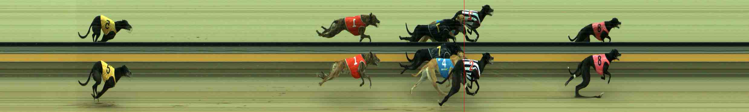 Photo finish for Sale Race 2