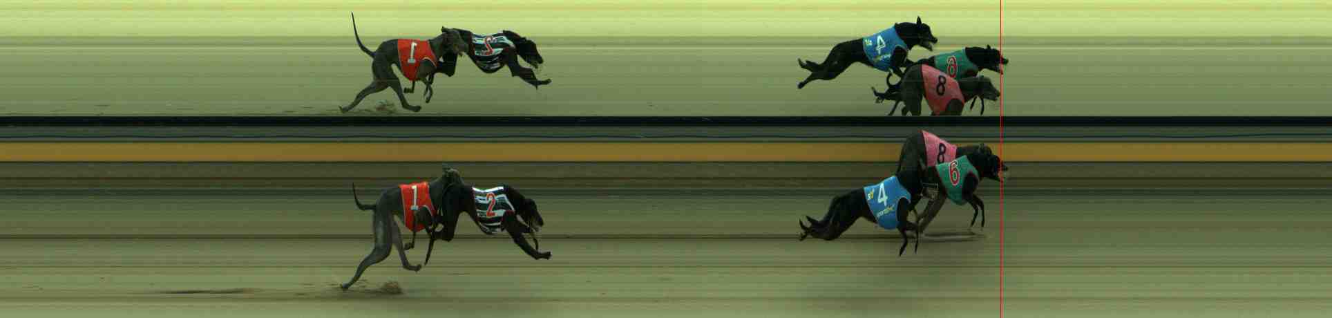 Photo finish for Sale Race 3