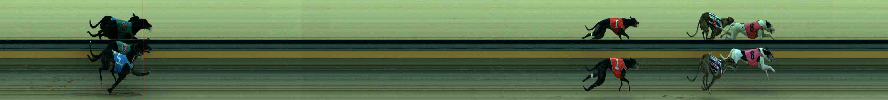 Photo finish for Sale Race 4