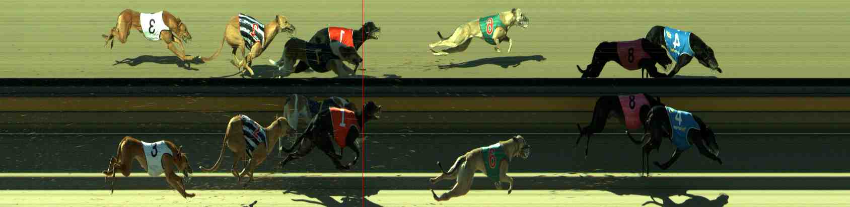 Photo finish for Sale Race 6