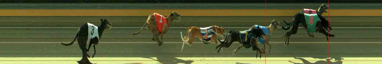 Photo finish for Sale Race 7