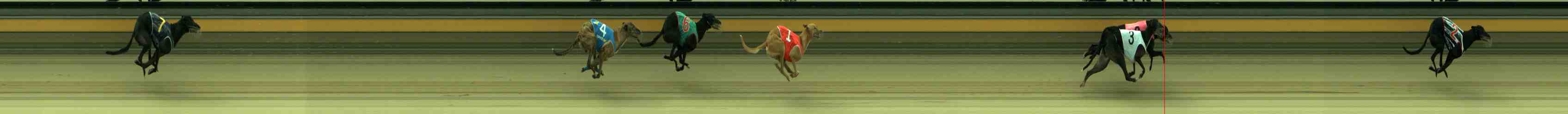 Photo finish for Sale Race 8