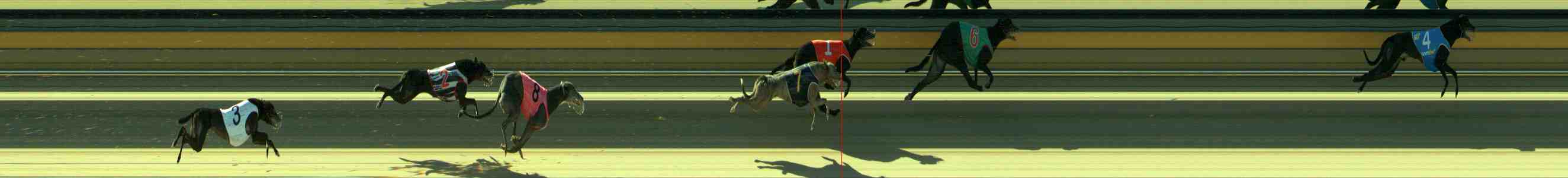 Photo finish for Sale Race 10