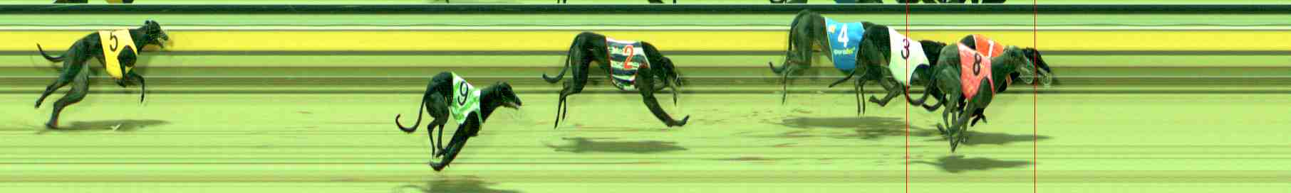 Photo finish for Sale Race 2