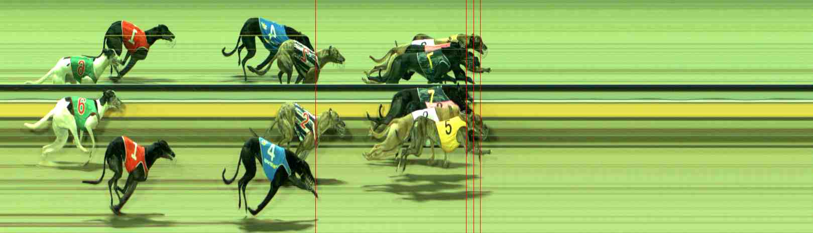 Photo finish for Sale Race 3