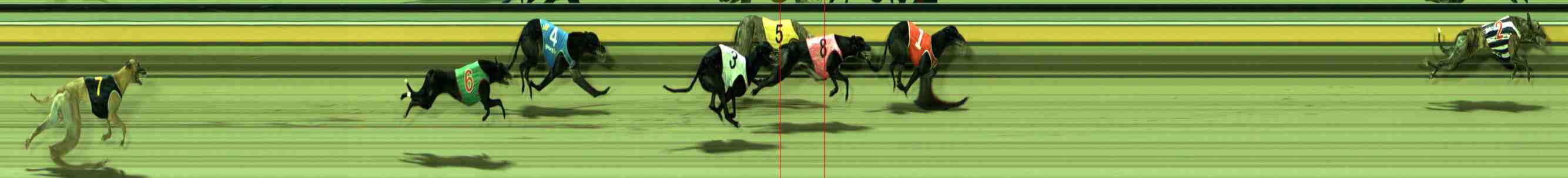 Photo finish for Sale Race 4