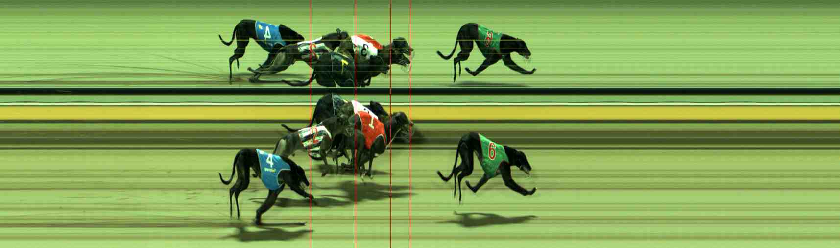 Photo finish for Sale Race 5