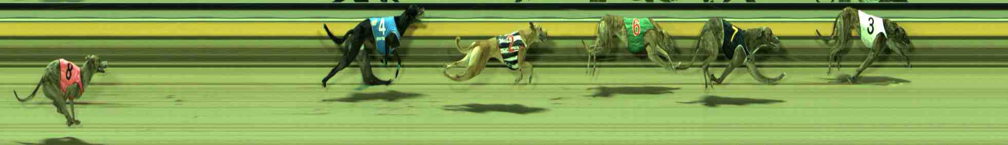 Photo finish for Sale Race 6